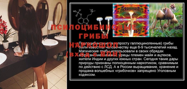 spice Армянск