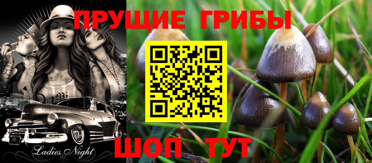 Псилоцибиновые грибы мухоморы  Вход с VPN  Дзержинский  Псилоцибиновые грибы прущие грибы 